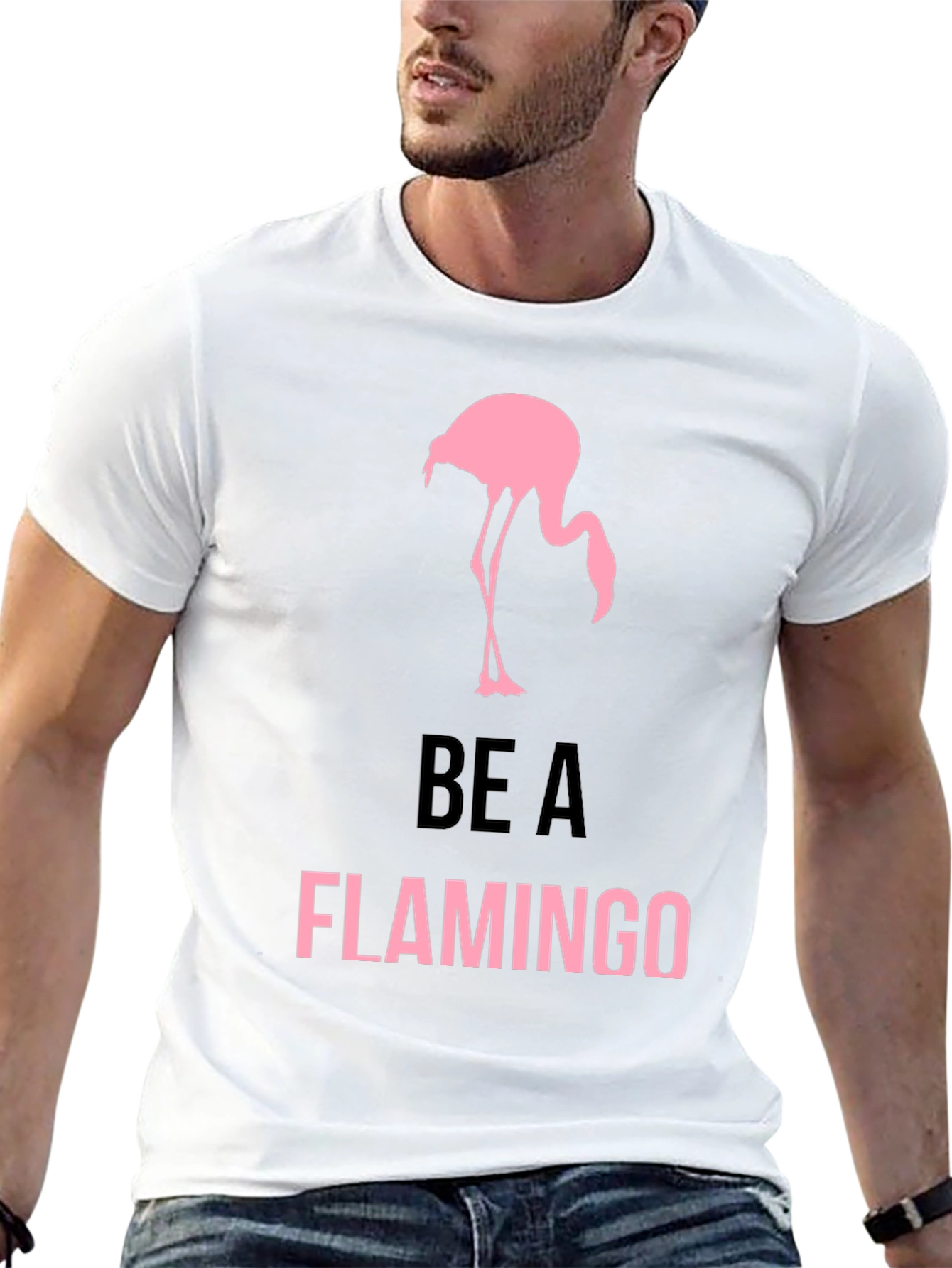 Be a Flamingo T-Shirt - Mens Black Graphic Tee