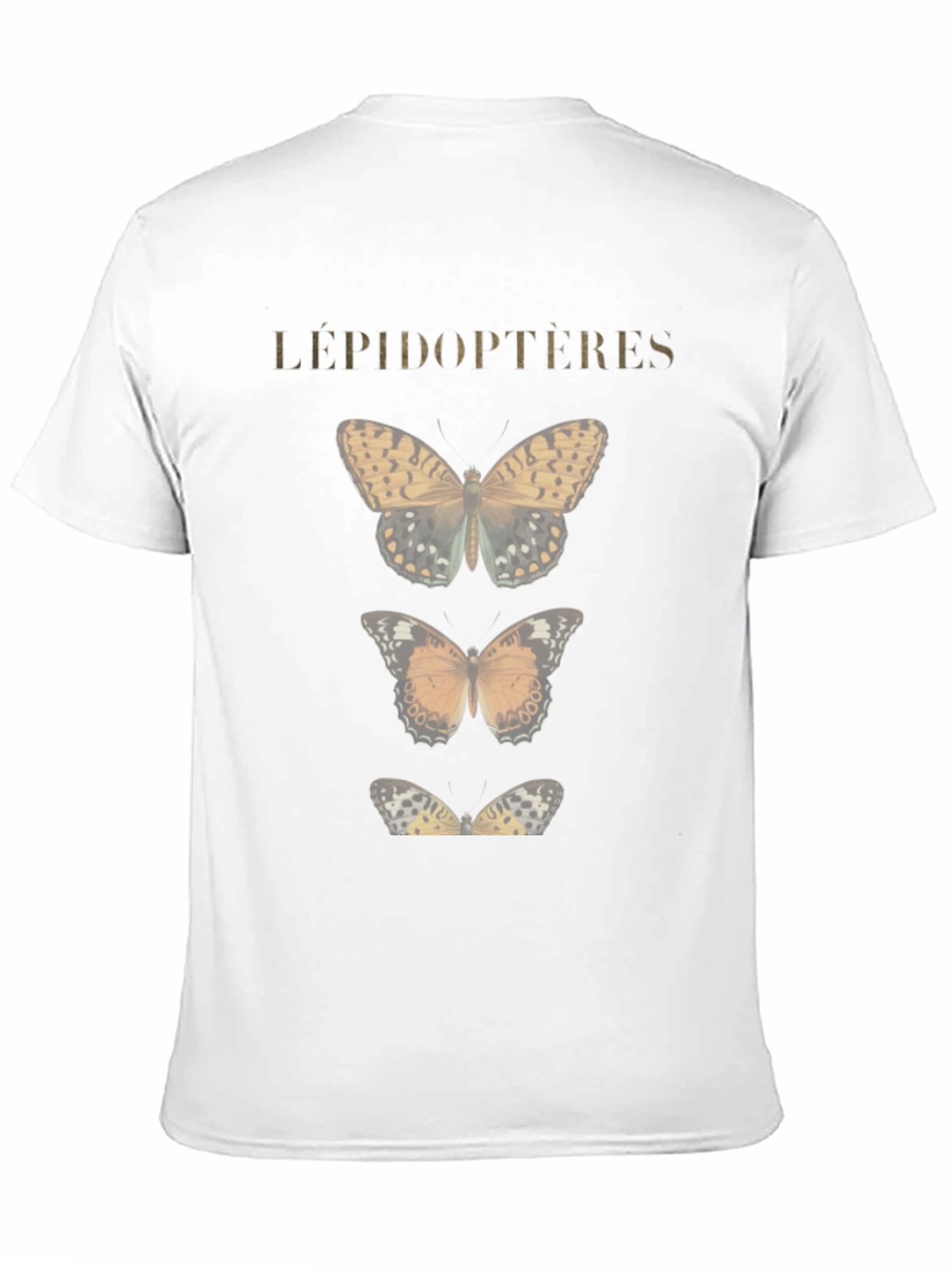 Lepidopteres Butterfly Graphic T-Shirt - Black