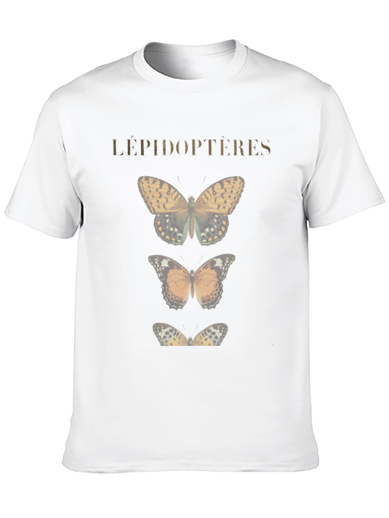 Lepidopteres Butterfly Graphic T-Shirt - Black