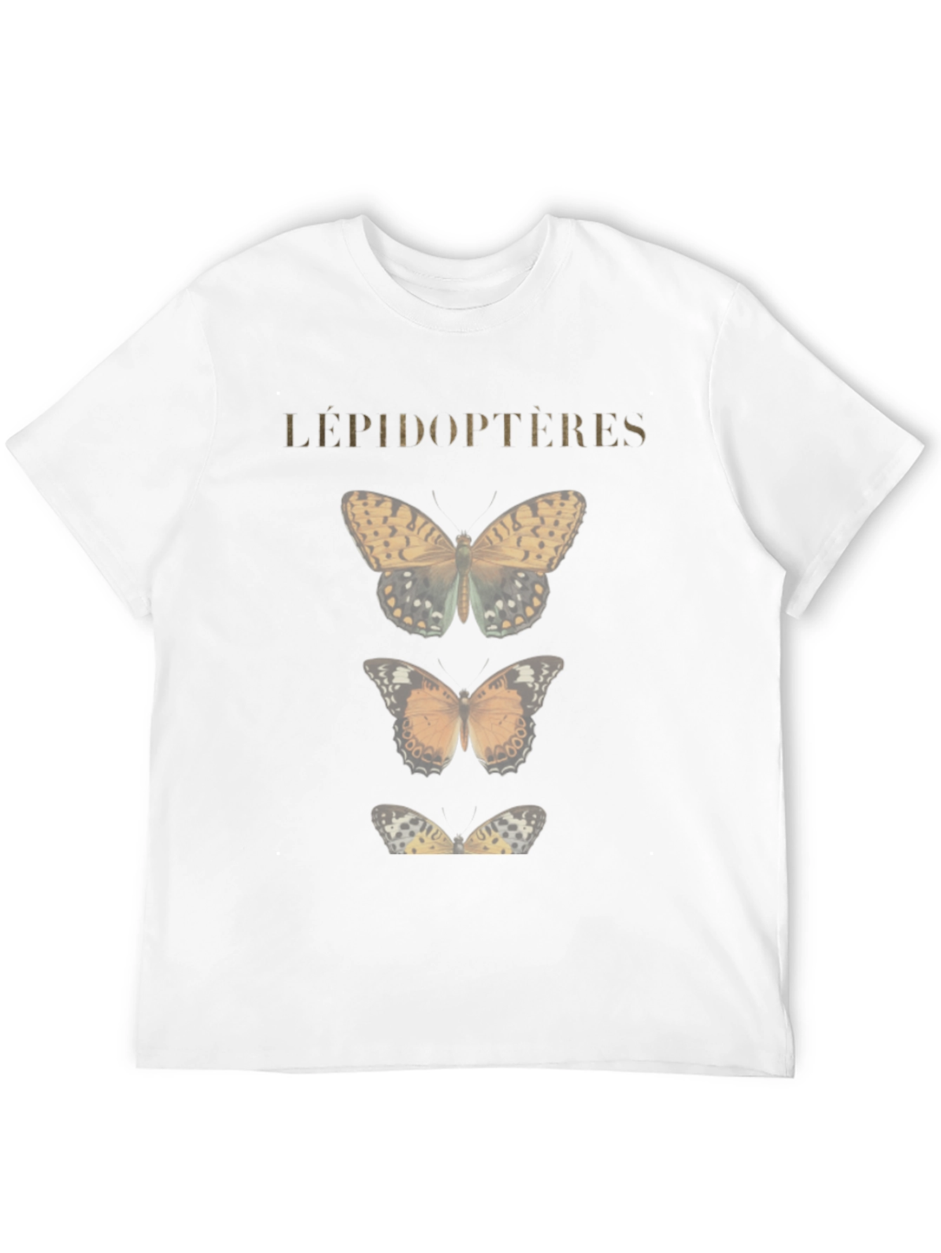 Lepidopteres Butterfly Graphic T-Shirt - Black