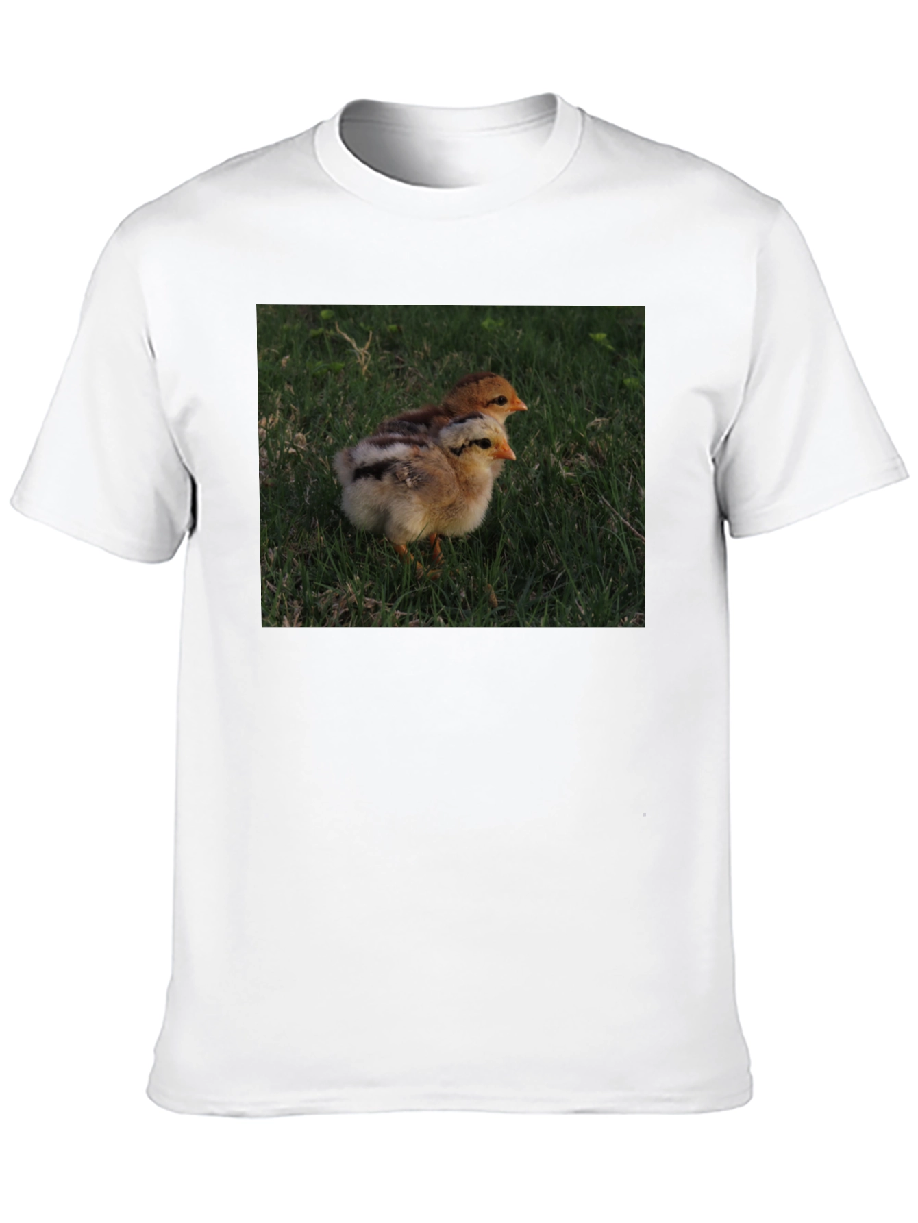 Cute Chickens T-Shirt - Mens Black Tee