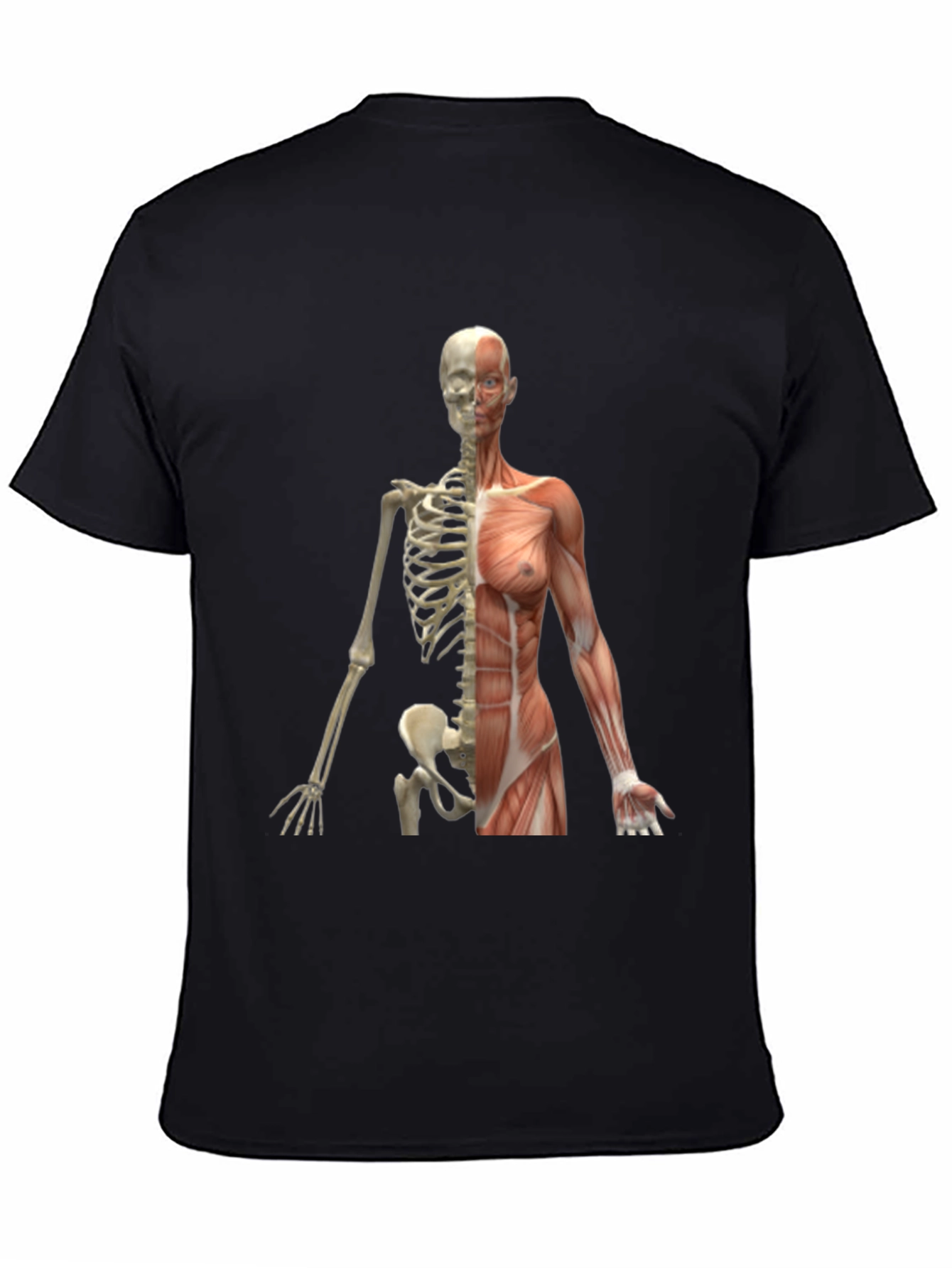 Anatomy Skeleton and Muscle Print Black T-Shirt