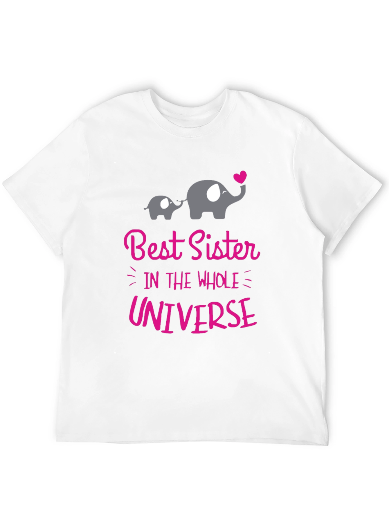 Best Sister in the Universe T-Shirt