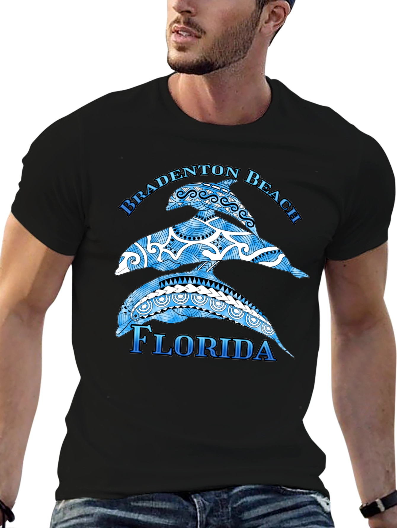 Bradenton Beach Florida Dolphin Graphic T-Shirt